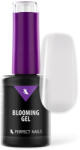 Perfect Nails Blooming gel - Átlátszó díszítő zselé - 8ml - claudiashop