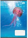 Victoria COOL Füzet tűzött A5 kockás 32 lap Ocean World ISVFC116 (ISVFC116)