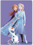  Disney Jégvarázs Purple polár takaró 100x140cm (BRM014183) - aprotalpak