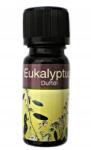 Illatolaj, eukaliptusz, 10 ml (64288) (64288)
