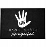 TabPrint Lábtörlő Bejárati Kényelmes 40X60CM Fekete Nyomtatott Csúszásgátló Vicces (WYCIERACZKA STOP – UCIEKAJ PÓKI MOŻESZ! HIT)