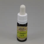 Bach vörösfenyő 10 ml