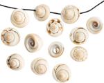  Margele din Scoica Neregulate 14-18x13-17 mm pentru Accesorii - 1 Buc