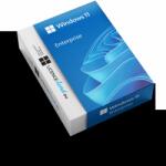 Microsoft Windows 11 Enterprise (DG7GMGF0D16B)