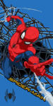  Pókember Web Hero fürdőlepedő, strand törölköző 70x140cm (Fast Dry) (JFK145136) - szukits