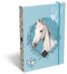  Füzetbox, A5, LIZZYSULI, "Wild Beauty, Sport Club (CTICLFBWBA5)