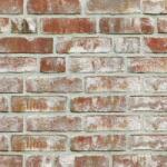 Roben Caramida Klinker Geestbrand, alb patinat, NF (240x115x71 mm) (ROB-GEESTBRAND-ALB)