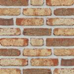 Roben Caramida Klinker Moorbrand Retro, turba multicolor, NF (240x115x71 mm) (ROB-MOORBRAND-RE-TORF)