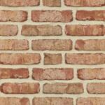 Roben Caramida Klinker Moorbrand Retro, argila multicolor, NF (240x115x71 mm) (ROB-MOORBRAND-RE-LEHM)