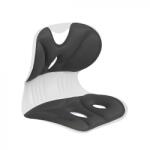 Flippy Suport pentru Scaun, Flippy, pentru Corectarea Posturii, Portabil, Ergonomic, Ameliorare Durere, Respirabil, 36x34x33 cm, Marime L, Negru (128328)