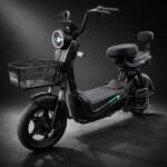 Flippy Scuter Electric KG, Saige, Fara Permis, Motor 500W, Baterie 48V20Ah, Autonomie 60km, 153x40x85 cm, Viteza Maxima 25km/h, Negru (164173)