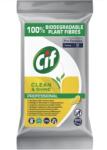 Flippy CIF Professional Clean&Shine - Servetele Umede de Curatare Multifunctionale Biodegradabile, 100 Servetele (165867)