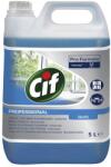 Flippy CIF Professional Glass & Multi Surface - Detergent Geamuri si Suprafete 5 L (165975)