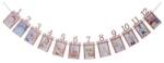 Flippy Banner pentru Poze, Flippy, 15.2x10.2 cm, Tema Prima Aniversare, Model Primele 12 Luni, Rola Ata Inclusa, Roz (130534)