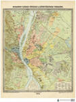  Budapest Székes-Főváros és Környéke (1906) falitérkép 71*87 cm - térképtűvel szúrható, keretezett