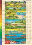  Az élet kialakulása 120*160 cm - laminált, faléces