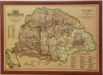  Magyarország borászati térképe 1884 falitérkép 100*70 cm - tűzdelhető keretezett