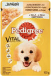 PEDIGREE Junior Alutasakos Kutyaeledel (Csirke és Rizs) - 100 g