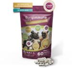 Natural Pet Care System Burgimmune Forte Premium Tablete pentru stimularea imunității la câini 60 tablete