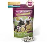 Natural Pet Care System Burgimmune Forte Premium Tablete pentru stimularea imunității la câini 30 tablete