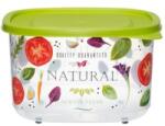 Herevin Cutie pentru Alimente, din Plastic, cu Capac, Diverse Culori, 4.20 l, Herevin (HR162058)