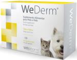 WEPHARM Supliment dermatologic pentru caini pisici WeDerm 60 capsule
