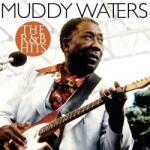 Muddy Waters - The R&B Hits (LP) (8719039005383)