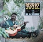 Muddy Waters - Muddy, Brass & The Blues (Reissue) (LP) (8435395503300)