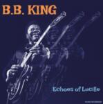B. B. King - Echos Of Lucille (Limited Edition) (Orange Coloured) (LP) (8717662599408)
