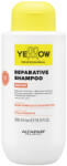 Yellow Professional Repair Reparative Shampoo 500 ml
