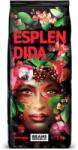 Doncafe Beans Republic Cafea Boabe Doncafe Beans Republic, Esplendida, Arabica 100%, 1 kg