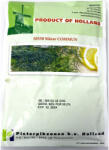 Holland Farming Seminte marar Commun 50 gr, Holland