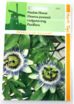 Holland Farming Seminte Floarea Pasiunii 0, 33 gr, Holland