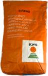 KWS Seminte porumb KWS Severo, 25.000 boabe, FAO 280, morarit
