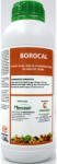 Codiagro Borocal 1L ingrasamant foliar pentru corectarea carentei de Calciu, Bor, Magneziu, Codiagro (obtinerea fructelor ferme, uniform colorate)