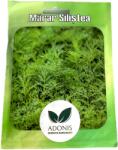 Adonis Seminte marar Silistea 5 gr, Adonis