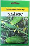 SCDL BZ Seminte castravete de camp Slanic 10 gr, SCDL Buzau