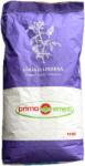 Prima Sementi Seminte lucerna Teodora C1 10 kg, Prima Sementi