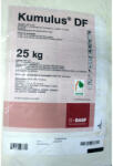 BASF Kumulus DF 25 kg fungicid de contact pe baza de Sulf, BASF, fainare (vita de vie, mar, castraveti)