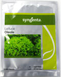 Syngenta Seminte salata creata Oleole 5000 seminte