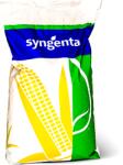 Syngenta Seminte porumb Syngenta Batanga 50.000 boabe, timpuriu, FAO 300-340