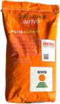 KWS Seminte porumb Kws Kashmir 25.000 boabe, FAO 370, grupa Plus4Grain
