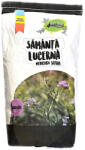 4Agro Seminte lucerna Dobrogea 10 kg