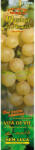 Loredo Butas Vie Muscat de August