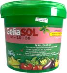 Solarex Geliasol 17-10-56+Oligoelemente 5 kg, ingrasamant fertirigare, Solarex