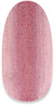 NiiZA Gel Polish 4ml - 310 hologramm