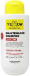 Yellow Color Care - Șampon pentru Îngrijirea Culorii 500ml, Protecție, Strălucire și Vitalitate pentru Părul Vopsit (YE029354)