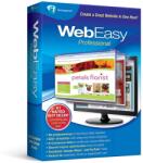 WebEasy Professional 10 English (24182168069)