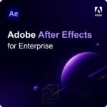 Adobe After Effects for Enterprise EDU 1 - 9 User (30001870CB01A12)
