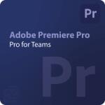 Adobe Premiere Pro for teams + Adobe Stock standard assets 1 - 9 User (65324793CA01A12)